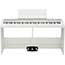 Thumbnail 1 of Korg B2+SP Digital Piano