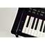 Thumbnail 6 of Yamaha CSP255 Digital Piano