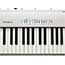 Roland FP30 Digital Piano in White