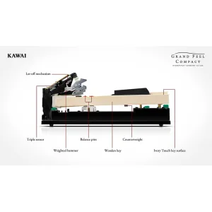 Thumbnail 4 of Kawai CA58 Digital Piano