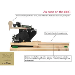 Thumbnail 4 of Casio GP300 Celviano Grand Hybrid Digital Piano