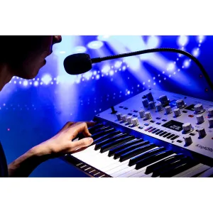 Thumbnail 5 of Korg KingKorg Neo