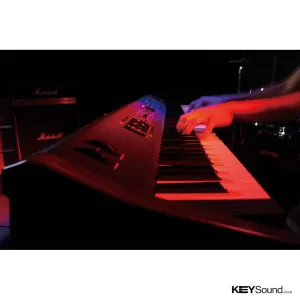 Thumbnail 1 of Kawai MP10 Digital Piano