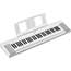 Yamaha NP15 Portable Piano-Style Keyboard in White