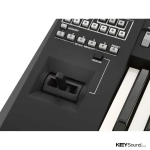 Thumbnail 2 of Yamaha PSRA3000