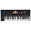 Thumbnail 1 of Korg Pa5X Oriental 61 Professional Arranger