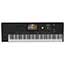 Thumbnail 1 of Korg Pa5X Oriental 76 Professional Arranger