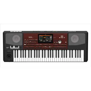 Thumbnail 1 of Korg PA700 Oriental Professional Arranger