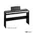 Korg SP170S Digital Piano in Black