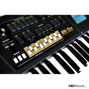 Thumbnail 3 of Roland BK5OR Backing Keyboard