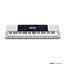 Casio CTK4200 Keyboard 