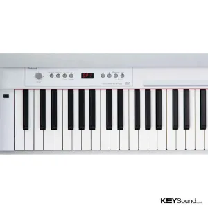 Thumbnail 4 of Roland F120 Digital Piano