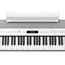 Thumbnail 2 of Roland FP90X Digital Piano