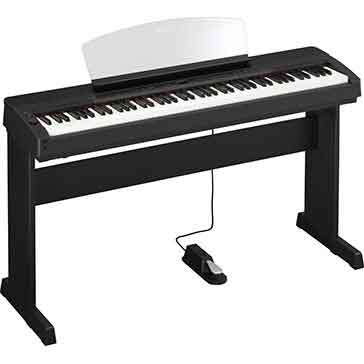 Yamaha P155 Digital Piano in Black & Mahogany  title=