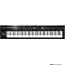 Roland RD300NX Digital Piano in Black