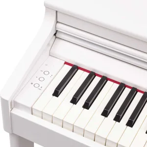 Thumbnail 4 of Roland RP701 Digital Piano
